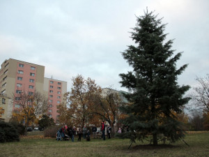 VÁNOCE NA ČTYŘCE: Bruslení na Chodově i Pankráci, vánoční workshop a křest jedle