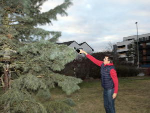 VÁNOCE NA ČTYŘCE: Bruslení na Chodově i Pankráci, vánoční workshop a křest jedle