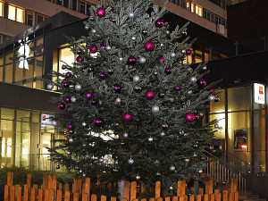 VÁNOCE NA ČTYŘCE: Bruslení na Chodově i Pankráci, vánoční workshop a křest jedle