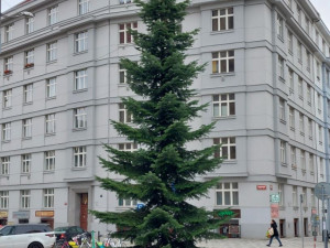 VÁNOCE NA SEDMIČCE: Dva vánoční stromy, bruslení na Letné a charitativní projekty