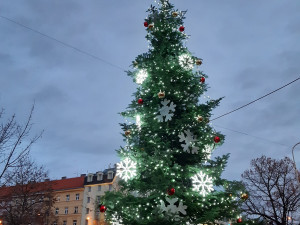 VÁNOCE NA SEDMIČCE: Dva vánoční stromy, bruslení na Letné a charitativní projekty