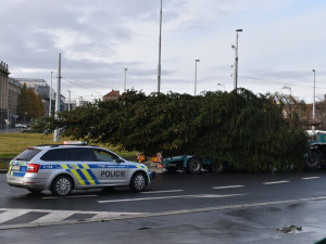VÁNOCE NA ŠESTCE: Dejvice jsou letos bez svítícího jelena, trhy na Kulaťáku jedou dál