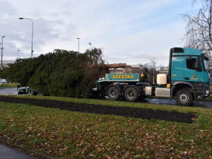 VÁNOCE NA ŠESTCE: Dejvice jsou letos bez svítícího jelena, trhy na Kulaťáku jedou dál