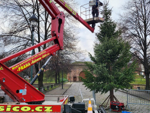 VÁNOCE NA ŠESTCE: Dejvice jsou letos bez svítícího jelena, trhy na Kulaťáku jedou dál
