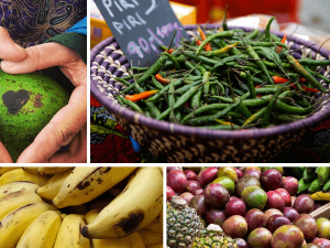 Exotické chutě z dalekých krajin míří do Prahy a Středních čech