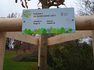 Desítka vysadila 63 stromů za své nové občánky. Milá tradice u dětí buduje vztah k přírodě