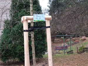 Desítka vysadila 63 stromů za své nové občánky. Milá tradice u dětí buduje vztah k přírodě