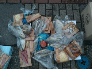 Veterináři našli v autě v Praze živé ryby bez vody. Jde o týrání zvířat
