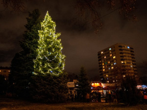 VÁNOCE NA DESÍTCE: Ježíškova kancelář, deset vánočních stromů i kalendář s pranostikami