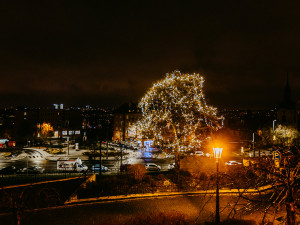 VÁNOCE NA DESÍTCE: Ježíškova kancelář, deset vánočních stromů i kalendář s pranostikami