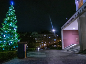 VÁNOCE NA DESÍTCE: Ježíškova kancelář, deset vánočních stromů i kalendář s pranostikami