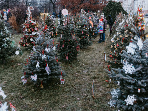 VÁNOCE NA DESÍTCE: Ježíškova kancelář, deset vánočních stromů i kalendář s pranostikami