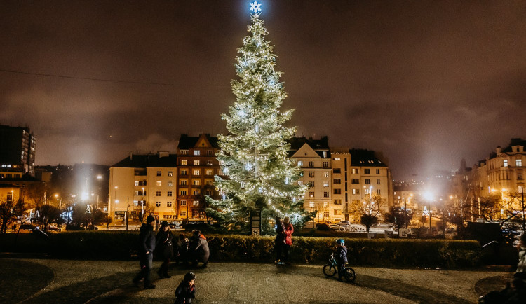 VÁNOCE NA DESÍTCE: Ježíškova kancelář, deset vánočních stromů i kalendář s pranostikami