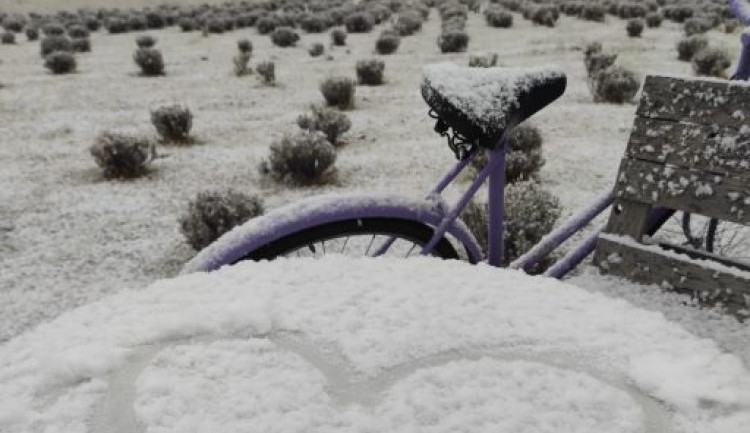 Zažijte Vánoce všemi smysly. Navštivte Retro Vánoce v Levandulovém údolí