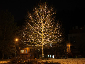 VÁNOCE NA PĚTCE: Stromy po celé městské části, Mikuláš na ledě a prodej kaprů