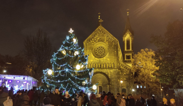 Čtenáři rozhodli. Za nejkrásnější pražský vánoční strom letos označili smrk v Karlíně
