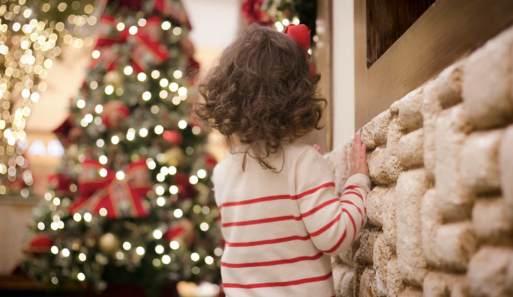 Vánoce u samoživitelů bývají skromné. Za padesátikorunu uvaří pro celou rodinu