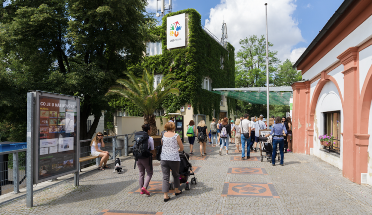 Almost a million visitors came to the Prague Zoo last year