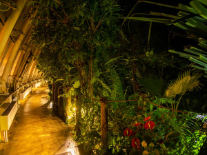 Džungle, která nespí. Vyrazte s dětmi do botanické zahrady za pořádným dobrodružstvím