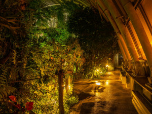 Džungle, která nespí. Vyrazte s dětmi do botanické zahrady za pořádným dobrodružstvím