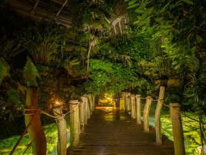 Džungle, která nespí. Vyrazte s dětmi do botanické zahrady za pořádným dobrodružstvím