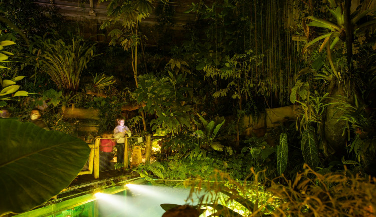 Džungle, která nespí. Vyrazte s dětmi do botanické zahrady za pořádným dobrodružstvím