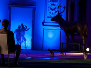 Co dělat o víkendu? Vyrazte na festival skandinávských filmů, Stand Up show či akci s terárky