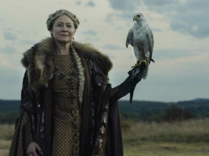 Co dělat o víkendu? Vyrazte na festival skandinávských filmů, Stand Up show či akci s terárky