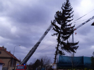 Silný vítr lámal stromy a komplikoval dopravu. Hasiči v Praze měli přes sto zásahů