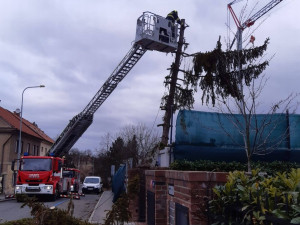 Silný vítr lámal stromy a komplikoval dopravu. Hasiči v Praze měli přes sto zásahů