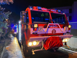 V Praze hořela chata. Hasiči v požářišti našli mrtvého psa