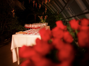 Valentýn je za dveřmi. Užijte si valentýnský hurikán, procházku v botanické zahradě či večer pro nezadané