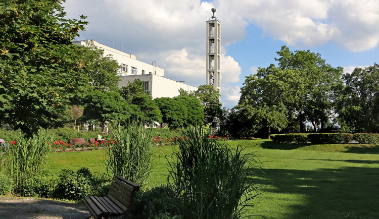 Dvojka ve svých parcích vysází 65 nových stromů. Chceme, aby se u nás občanům dobře žilo, tvrdí starostka