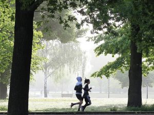 Co dělat o víkendu? Pochutnejte si na zabijačkových hodech či burgerech, zaběhejte si a vyrazte do divadla