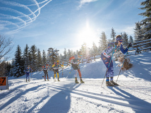 Veverkova 741/25 Praha 7