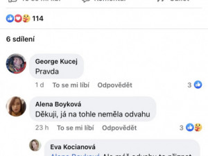 Rusové nás osvobodili, neměli bychom je kritizovat, píše česká dezinformační scéna