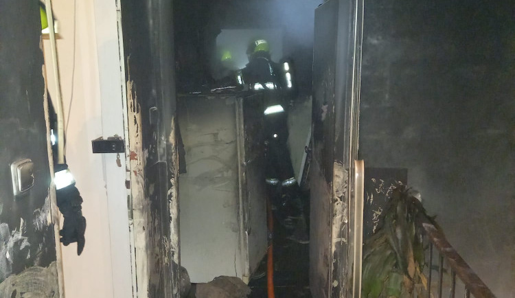 1647077716243-241-image-1