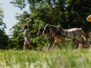 Nová sezóna Běhej lesy je za bukem a přináší hromadu novinek