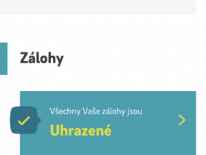 Pandemie covidu urychlila digitalizaci, říká vedoucí týmu Digital společnosti E.ON