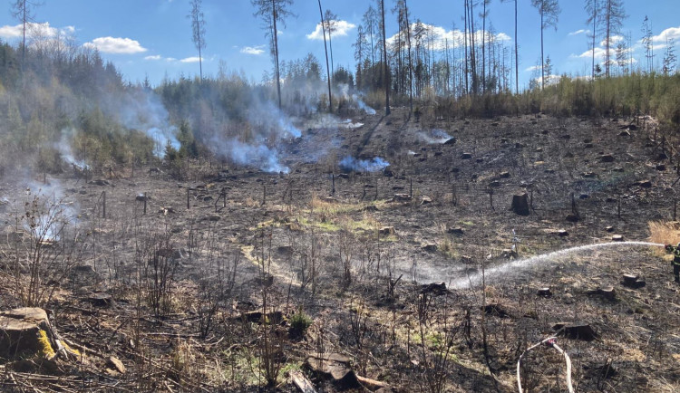 U Slapska hořel les. Hasiči vyhlásili druhý stupeň požárního poplachu