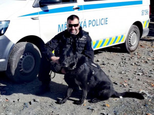 Zemřel policejní pes Merlin, který zachránil muže před sebevraždou