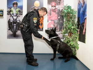 Zemřel policejní pes Merlin, který zachránil muže před sebevraždou