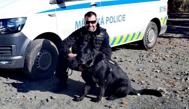 Merlin s parťákem Davidem Voborníkem