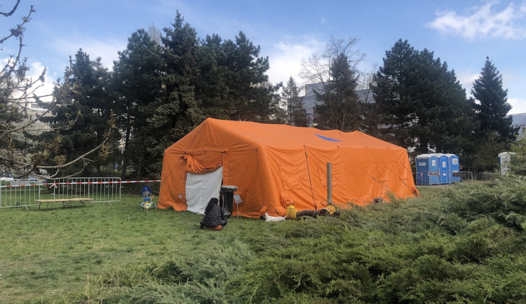 16509881319992-241-img-5565