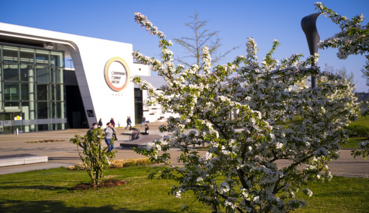 Zapomněli jste oslavit Den Země? Nevadí, pomáhat planetě můžete celoročně, třeba i pár maličkostmi
