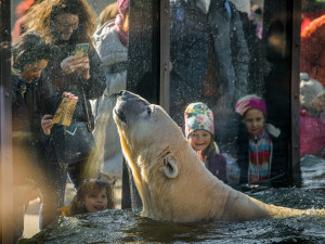 Pražská zoo končí se symbolickým vstupným pro ukrajinské ženy a děti. Od neděle zaplatí běžné vstupné