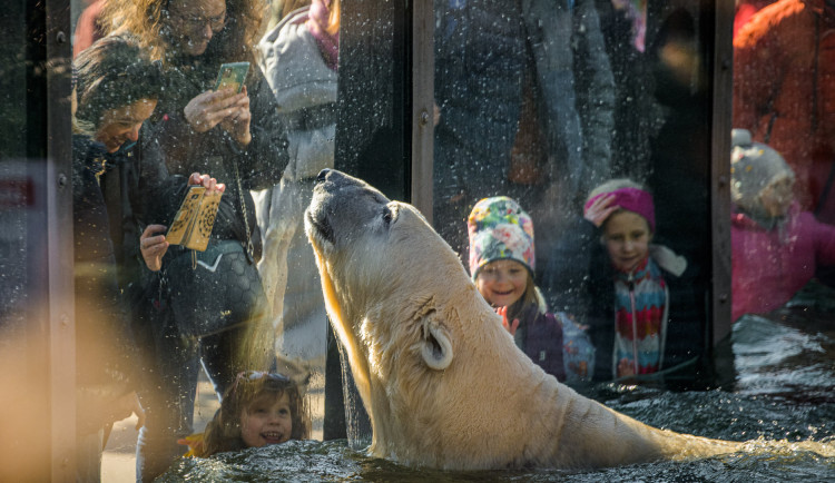 Pražská zoo končí se symbolickým vstupným pro ukrajinské ženy a děti. Od neděle zaplatí běžné vstupné