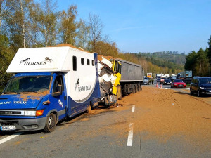 Při nehodě nákladních aut na D1 zahynuli dva koně