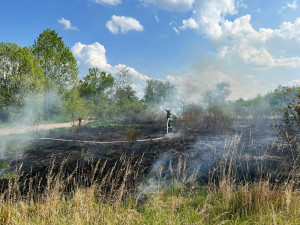 Meteorologové varují před zvýšeným nebezpečím vzniku požárů. V Praze je zakázáno rozdělávat ohně