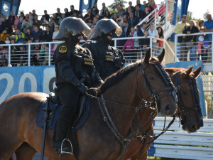 Na derby Sparty a Slavie budou v neděli u Edenu dohlížet stovky policistů